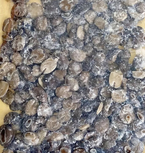 WET FRESH IRU (Locust Bean)