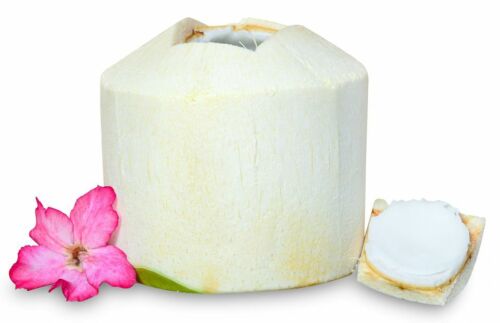 Young Coconut - Fresh Exotic Fruit From Thailand