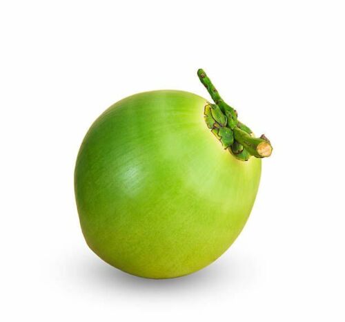 Jelly Nut 'green coconut' Large Organic Fresh
