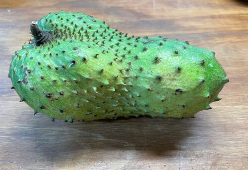 Fresh Soursop Fruit, organically Grown